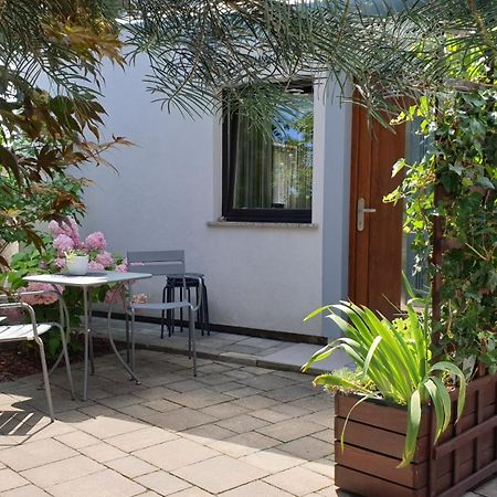 Studio Emma Ljubljana - Free Parking, Ac, Wifi ภายนอก รูปภาพ
