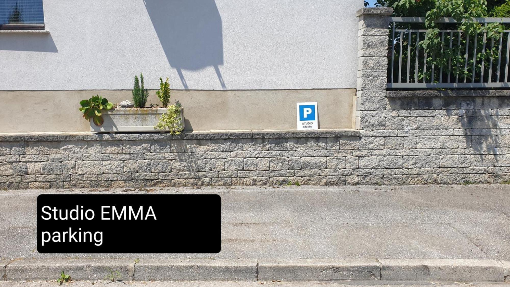 Studio Emma Ljubljana - Free Parking, Ac, Wifi ภายนอก รูปภาพ